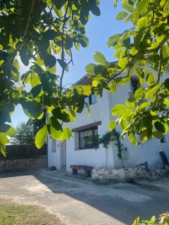 La casina de Suances - Ongayo - 2