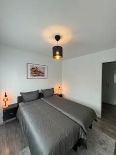 Magnifique Appartement - 3