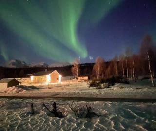 Hytte i Skinnelv, Lyngen - Skinnelv - 9