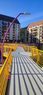 JACUZZI BELLE VIEW SINAIA-free parking - Sinaia - 5