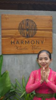 Harmony Wooden Villas - Ubud - 3