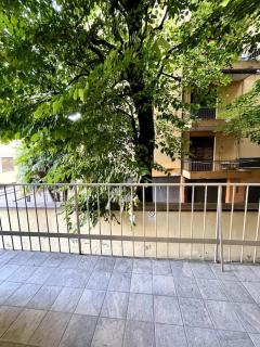 Marcanova's home - Padua - 2