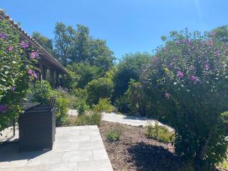 Peaceful gîte with stunning pool near market town - Montaigu-de-Quercy - 4