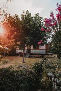 Le Petit Tonnelier - Saint-Sauveur - 2