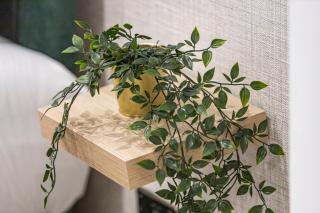 Soothing Studio Hideaway Tranquil Vibes Await - 5