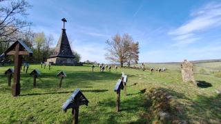 Jurta wkoło zielono - 2