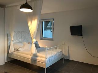 Stilvoll wohnen am Brasselsberg - Kassel - 7