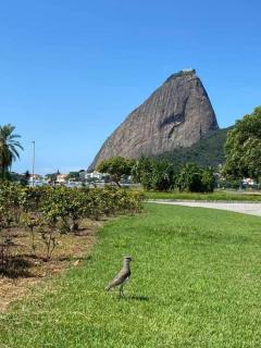 Apartamento no Flamengo - 4