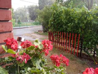 Holiday home in Balatonfenyves 18465 - Balatonfenyves - 6