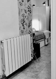 Sama en nice room - Saint-Sébastien - 3