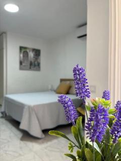 Apartamento Brisas Mediterráneas - Benalmádena - 6