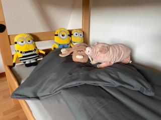 Ferienwohnung am Rhein in 4334 Sisseln - 1