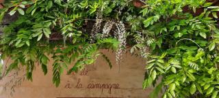 Les chambres du trouilh - Saint-Maurice-sur-Adour - 2