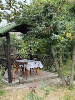 Gabala 3 bedroom house - Gabala - 1