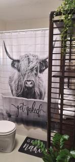 Saloon Greenhorn - 3