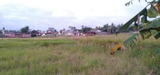 Win House - Ubud - 0