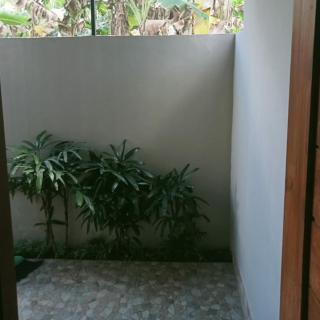 Win House - Ubud - 3