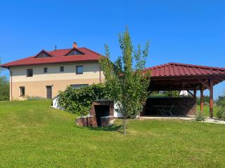 Penzion Bez Modrého Páva - 9