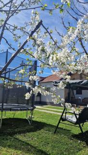 Anna's Art House - 8