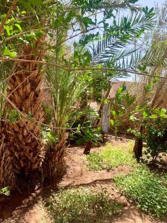 Dar Ahmed - Tagounite - 8