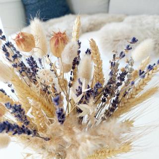 Otto drei - Ferienwohnung am Kaiserstuhl - 6