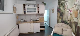 Skadarlija studio apartment FREE Parking - Belgrado - 6
