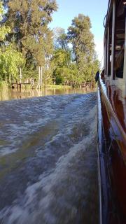Cabaña Brujalo - Tigre - 7