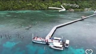 Raja Ampat Tapordura Homestay - 4
