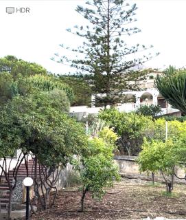 Villa Paradise - Valderice - 8