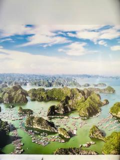 VILLA 16 phòng ngủ - SONASEA - VÂN ĐỒN - sát biển - đầy đủ tiện nghi - - 3