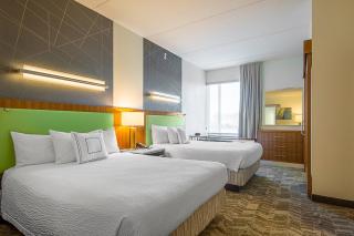 SpringHill Suites Tampa North/Tampa Palms - Tampa - 3