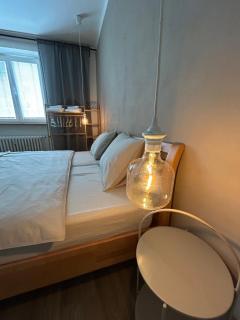 Apartmán s výhledem do parku - Poruba - 2