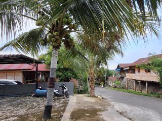 Town Hostel - Bukit Lawang - 8