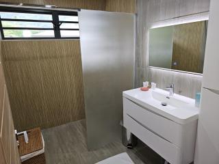 Raina Lodge - Fare Oriana - Piscine privée - Haapiti - 3