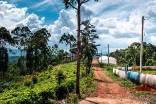Mercs Bungalow - Bandarawela - 4