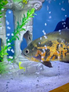 MERITON Boutique - 5