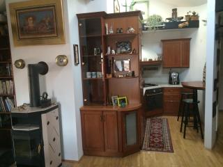 Apartment Loft - Liubliana - 8