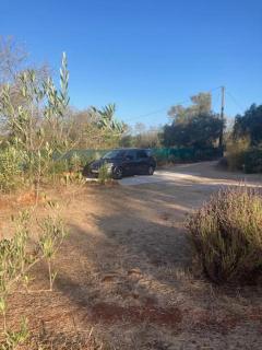 Tiny house eco resort - 1