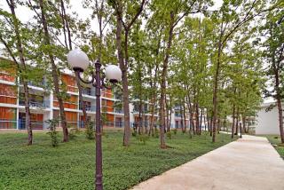 Hotel Forest Beach - 1