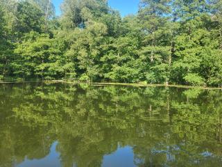 Słoneczne Wzgórze nad Dadajem Domek 1 - Biskupiec - 3