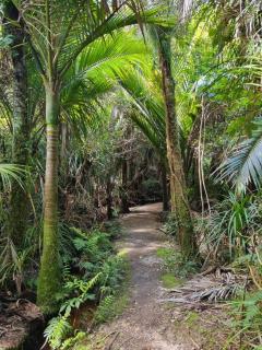 Fenian Retreat - Karamea - 4