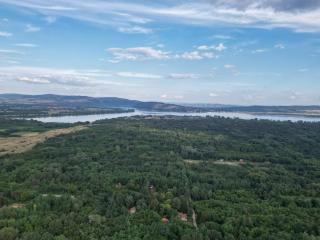The Woodland pool house - Dubovac - 9