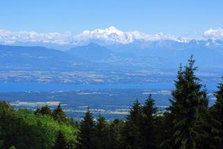 t2 Gex Centre, proche Genève et station Mont Jura - Gex - 8