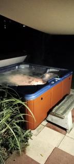 Hot Spa Log Fire Up to 16 Guests - Rotorua - 9