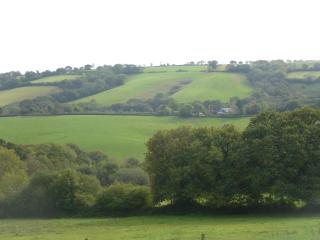 Briardene Cottage - Devon countryside - sleeps 6 - Exeter - 0