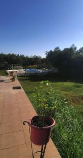 Plages de camargue et logement dans un site calme de rêve - Arles - 7