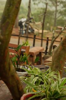 Big Măng Đen Homestay - Kon Von Kla - 4