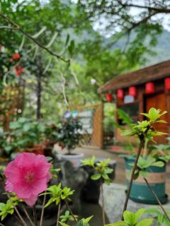 Hoalu Backpacker Homestay - Ninh Binh - 8
