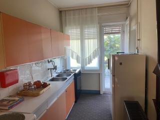 Peaceful home Suvacha - Kikinda - 2