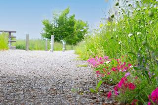 コンドミニアム 雪春 - 2